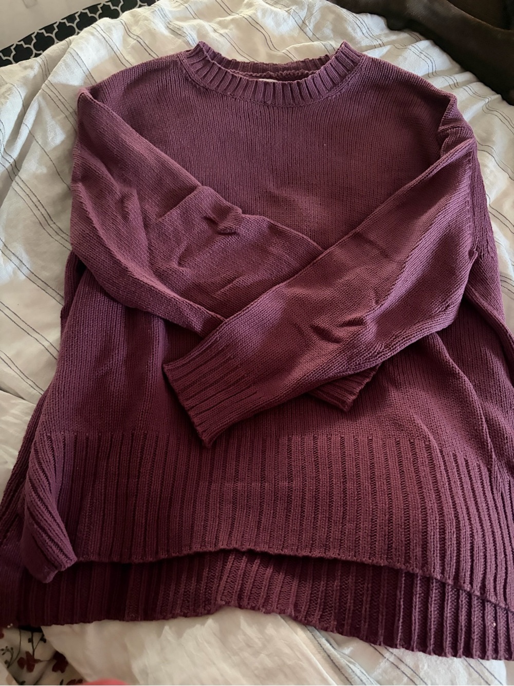 American Eagle Outfitters Plum Crewneck Knit Sweater